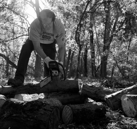 Man using chainsaw to cut wood